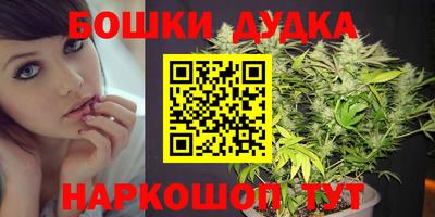 a pvp Лесосибирск